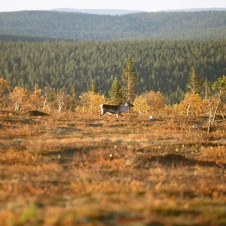 Holiday Club Pyha Pyhatunturi